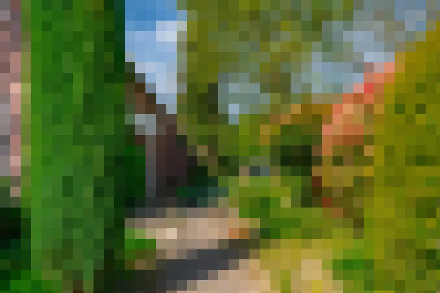 Gildestraat 2 Lobith thumbnail 54