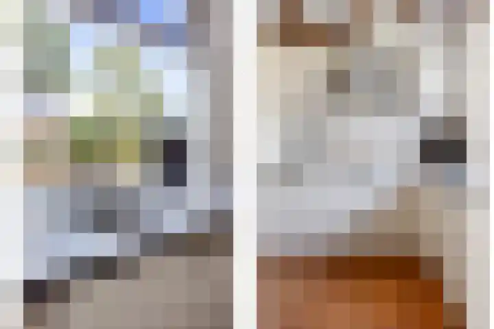 Gildestraat 2 Niftrik thumbnail 10