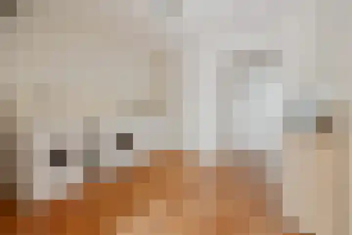 Gildestraat 2 Niftrik thumbnail 21
