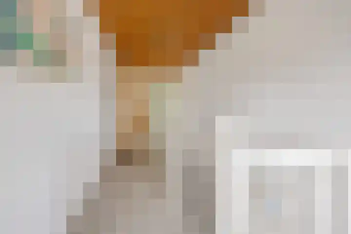 Gildestraat 2 Niftrik thumbnail 29