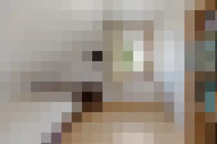 Gildestraat 2 Niftrik thumbnail 38