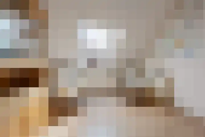 Gildestraat 2 Niftrik thumbnail 40