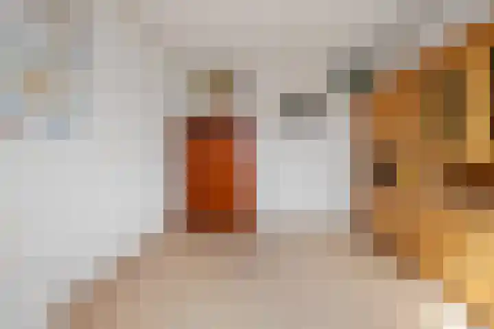 Gildestraat 2 Niftrik thumbnail 41