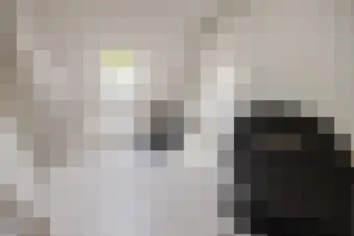 Gildestraat 2 Niftrik thumbnail 42