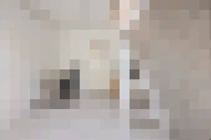 Gildestraat 2 Niftrik thumbnail 43