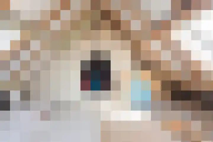 Gildestraat 2 Niftrik thumbnail 44