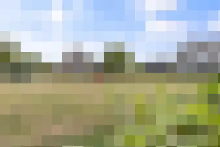 Gildestraat 2 Niftrik thumbnail 53