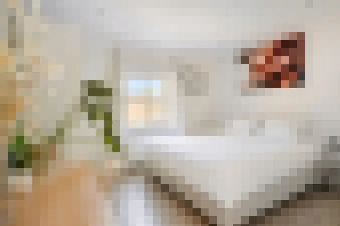 Gildestraat 20 Sint-Michielsgestel thumbnail 18