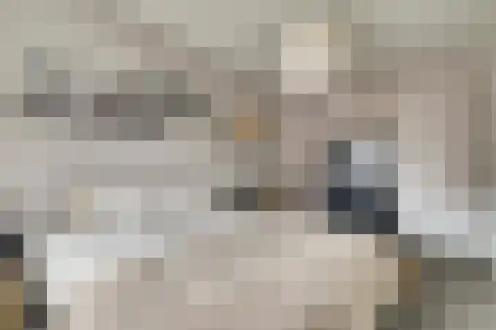 Gildestraat 21 Gendt thumbnail 21