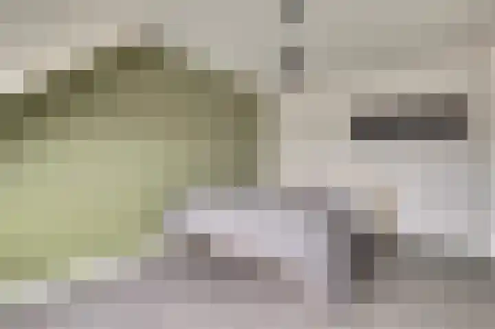 Gildestraat 21 Gendt thumbnail 32