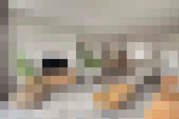 Gildestraat 21 Gendt thumbnail 4