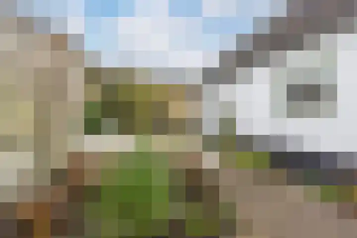 Gildestraat 25 Bussum thumbnail 34