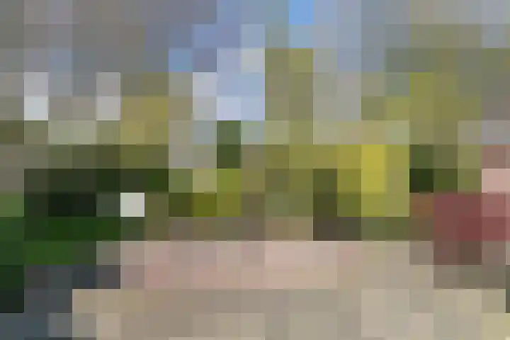 Gildestraat 26 Geldrop thumbnail 31