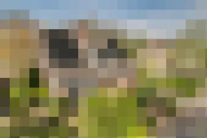 Gildestraat 26 Geldrop thumbnail 38