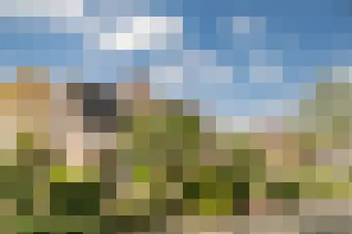 Gildestraat 26 Geldrop thumbnail 39