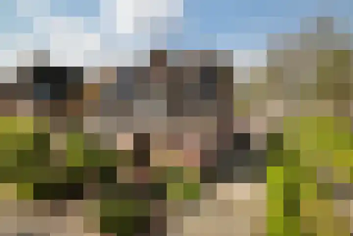 Gildestraat 26 Geldrop thumbnail 5