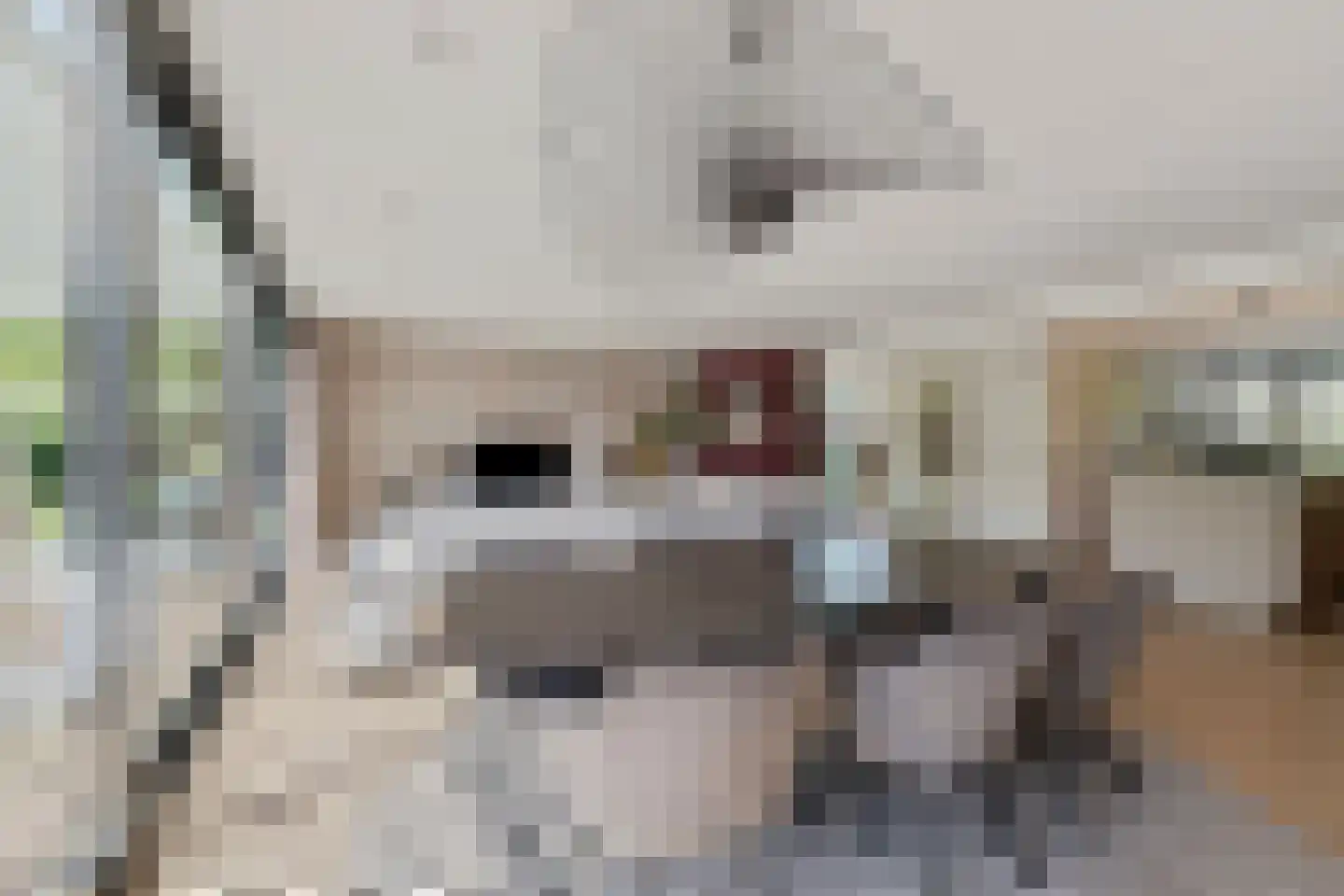 Gildestraat 33 Lobith thumbnail 12