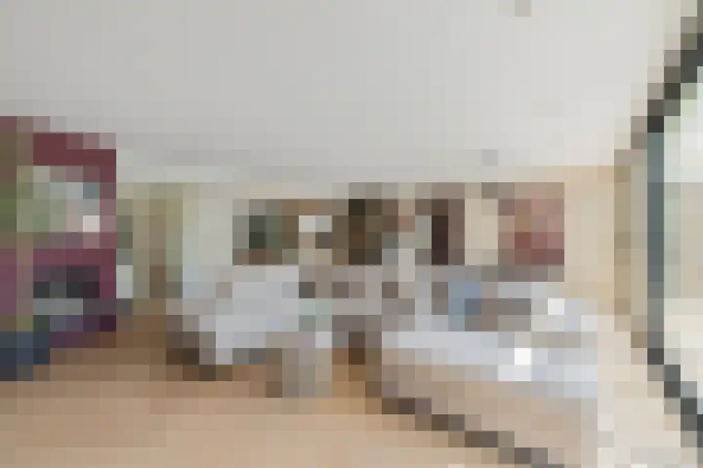 Gildestraat 33 Lobith thumbnail 13