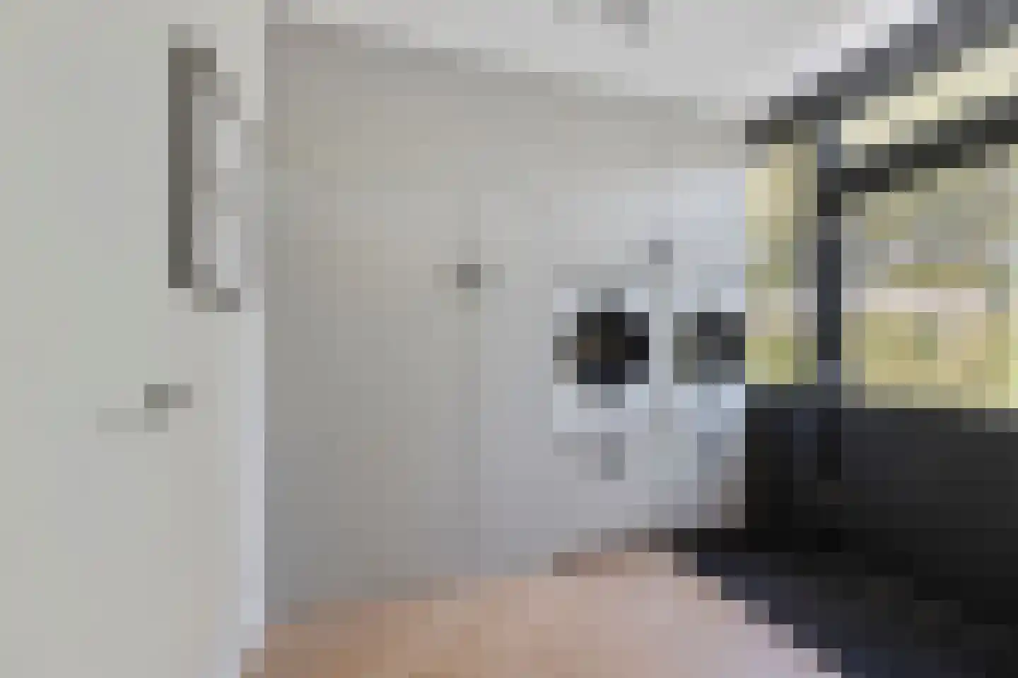 Gildestraat 33 Lobith thumbnail 18