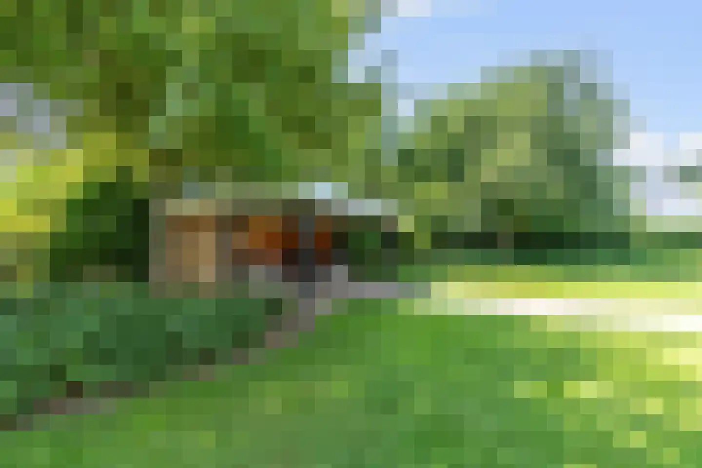 Gildestraat 33 Lobith thumbnail 21