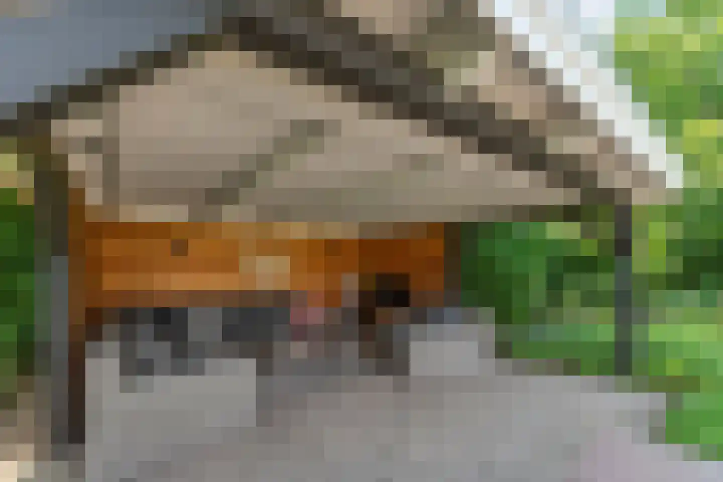 Gildestraat 33 Lobith thumbnail 23