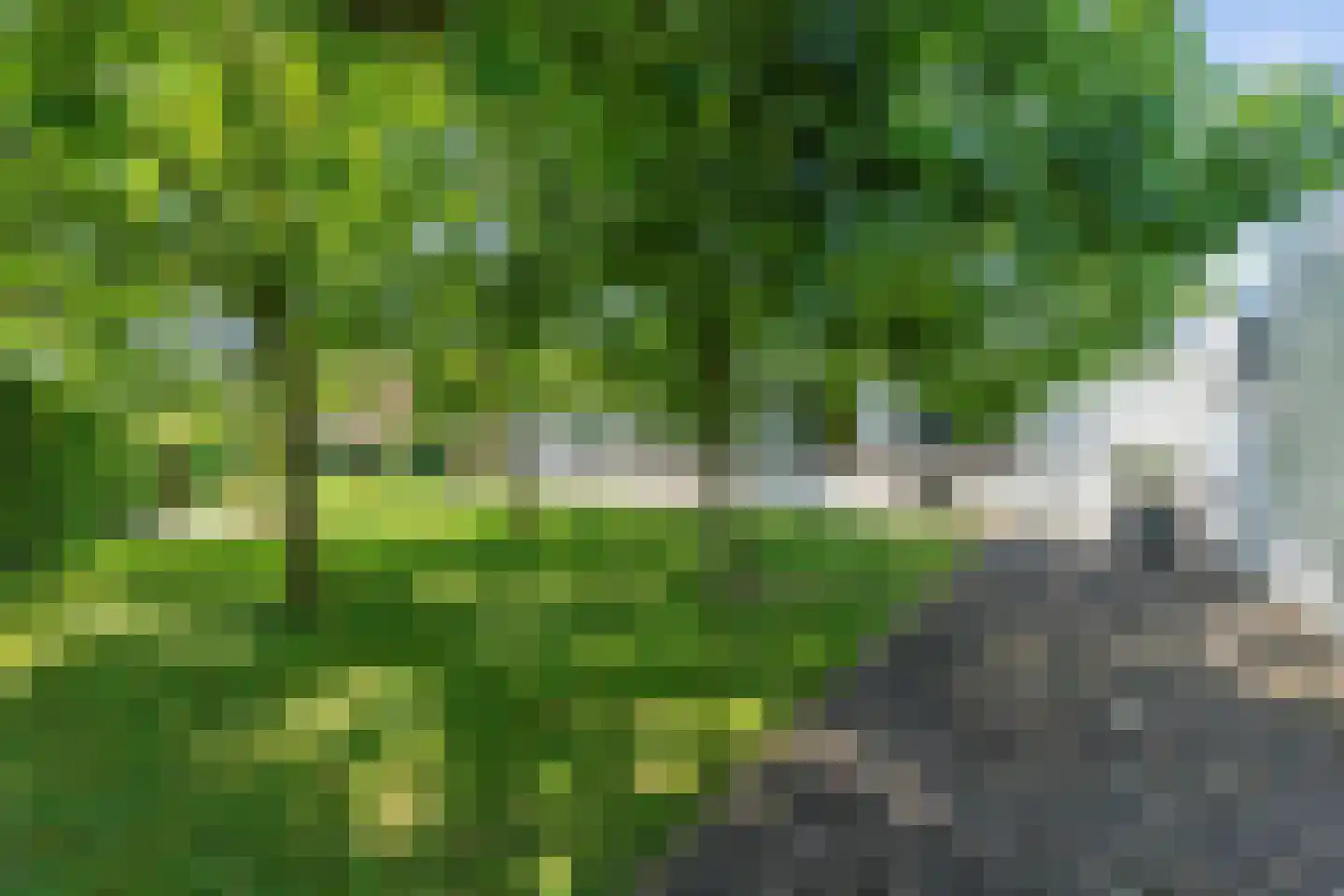 Gildestraat 33 Lobith thumbnail 24