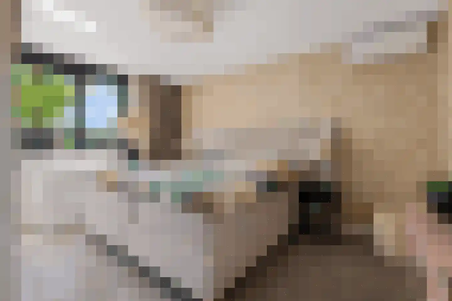 Gildestraat 33 Lobith thumbnail 25