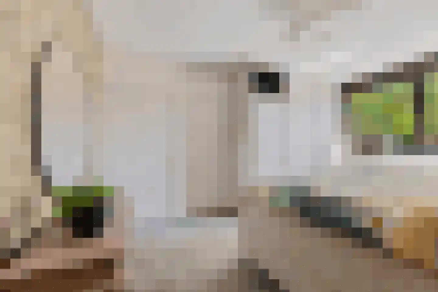 Gildestraat 33 Lobith thumbnail 26