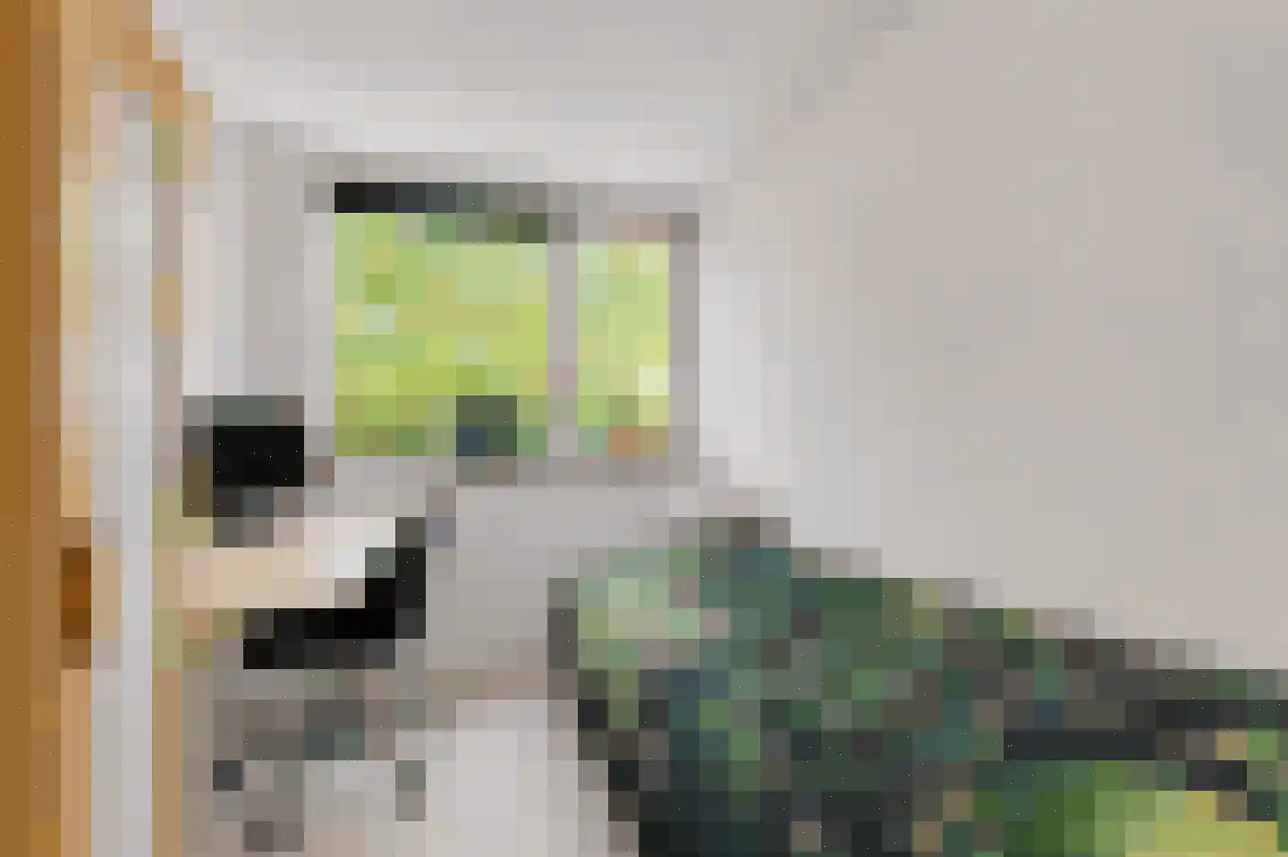 Gildestraat 33 Lobith thumbnail 29