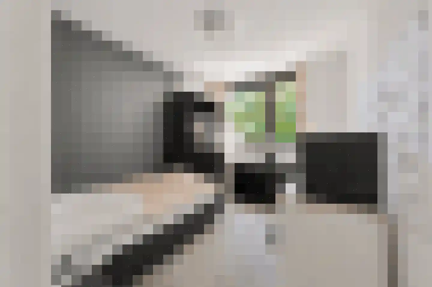 Gildestraat 33 Lobith thumbnail 30