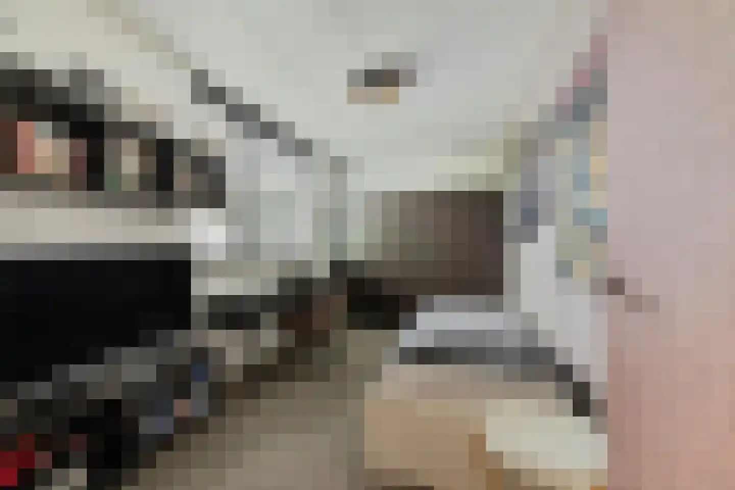 Gildestraat 33 Lobith thumbnail 31