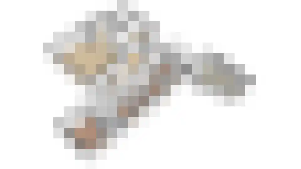 Gildestraat 33 Lobith thumbnail 37