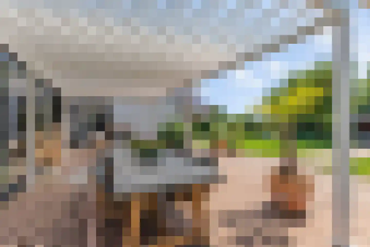 Gildestraat 33 Lobith thumbnail 4