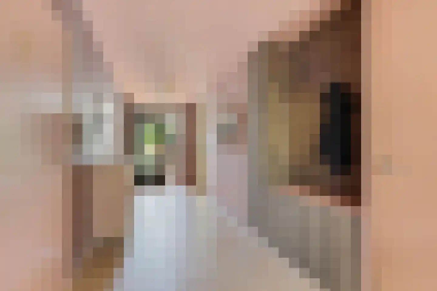 Gildestraat 33 Lobith thumbnail 8