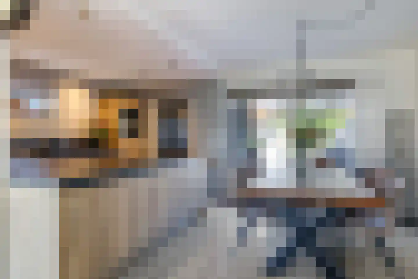 Gildestraat 35 Gendt thumbnail 19