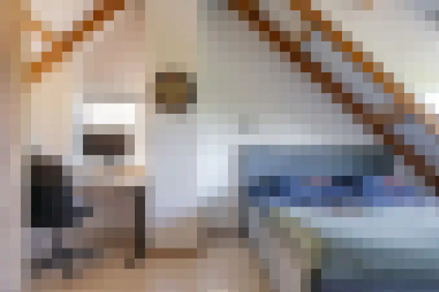 Gildestraat 35 Gendt thumbnail 57