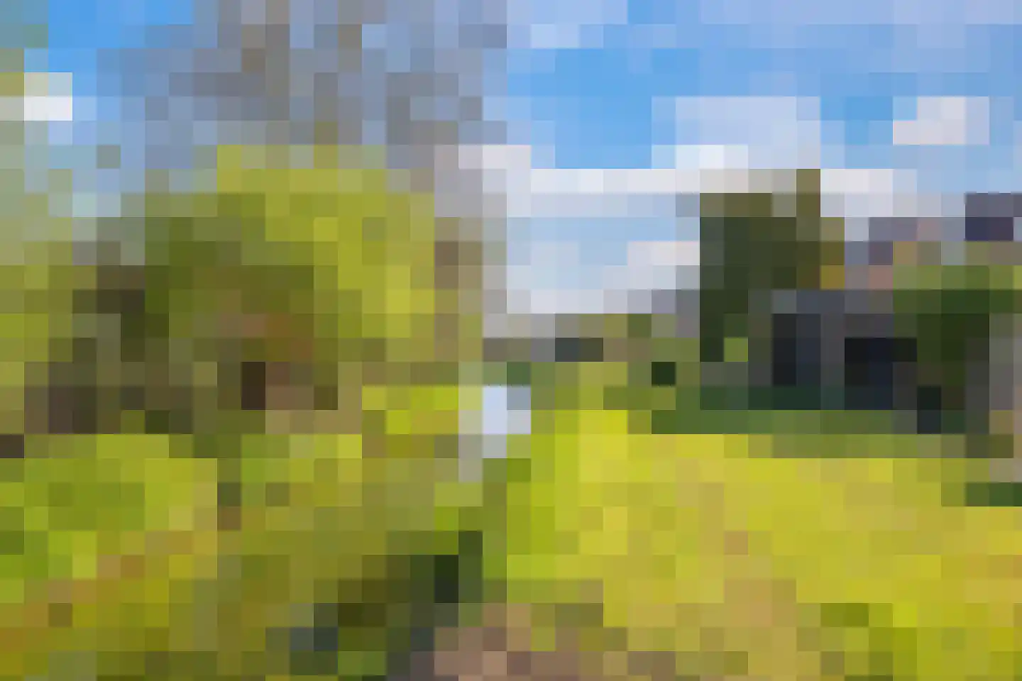 Gildestraat 35 Gendt thumbnail 60