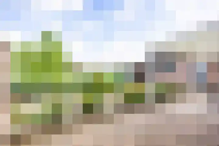 Gildestraat 40 a Holthees thumbnail 38