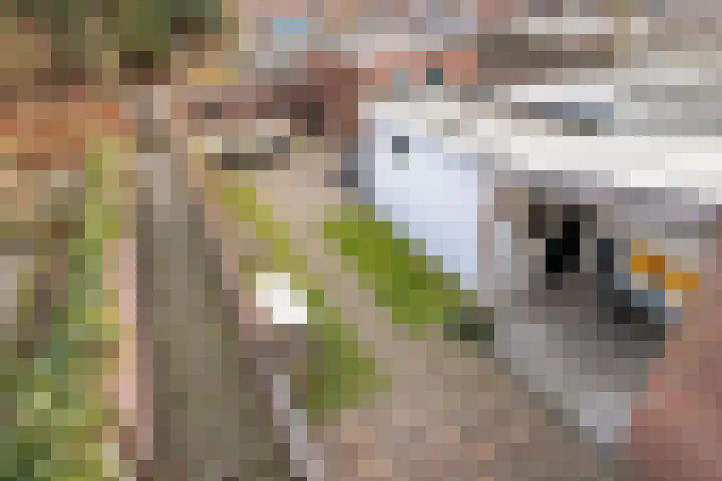 Gildestraat 40 Tilburg thumbnail 21