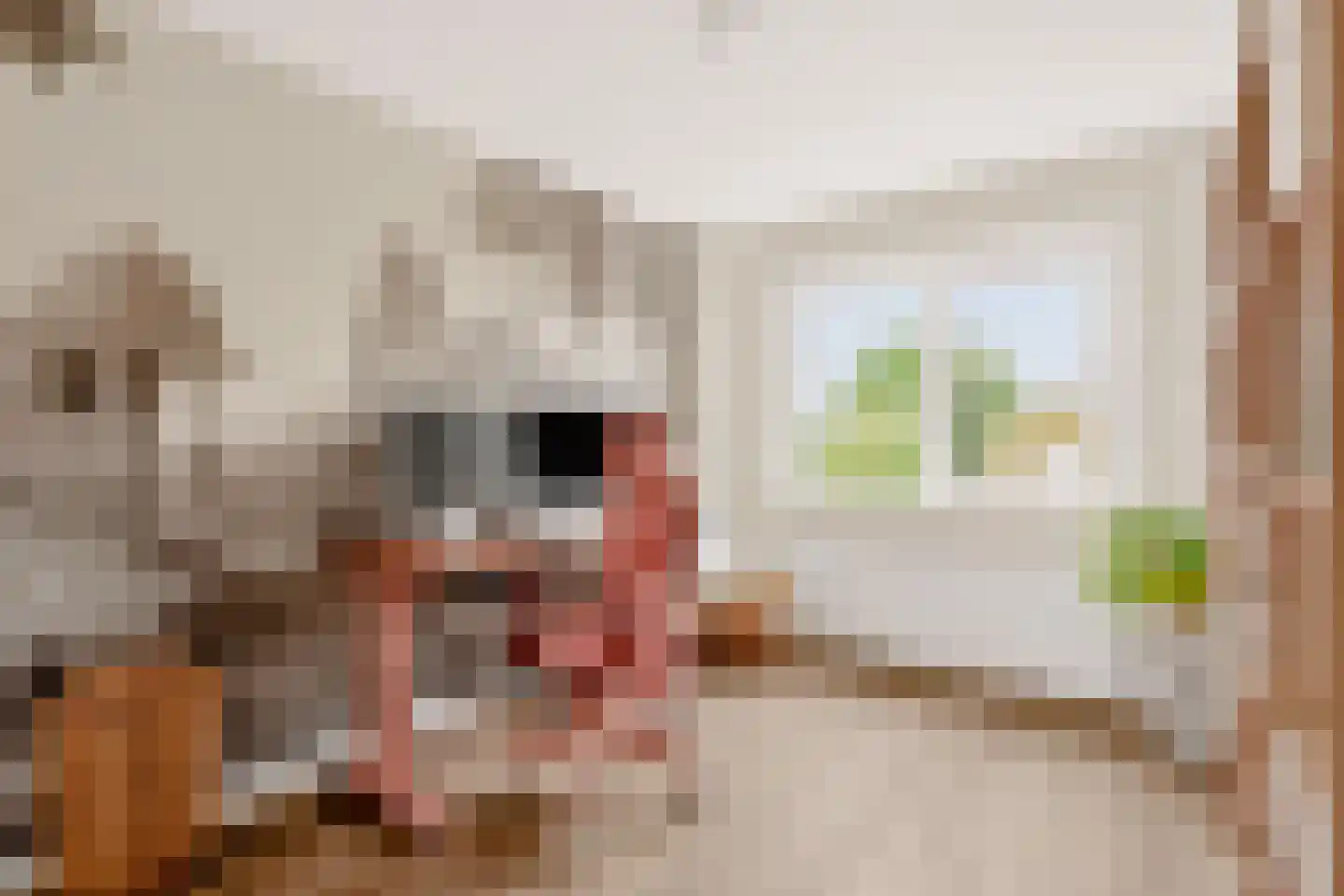 Gildestraat 43 Gendt thumbnail 24