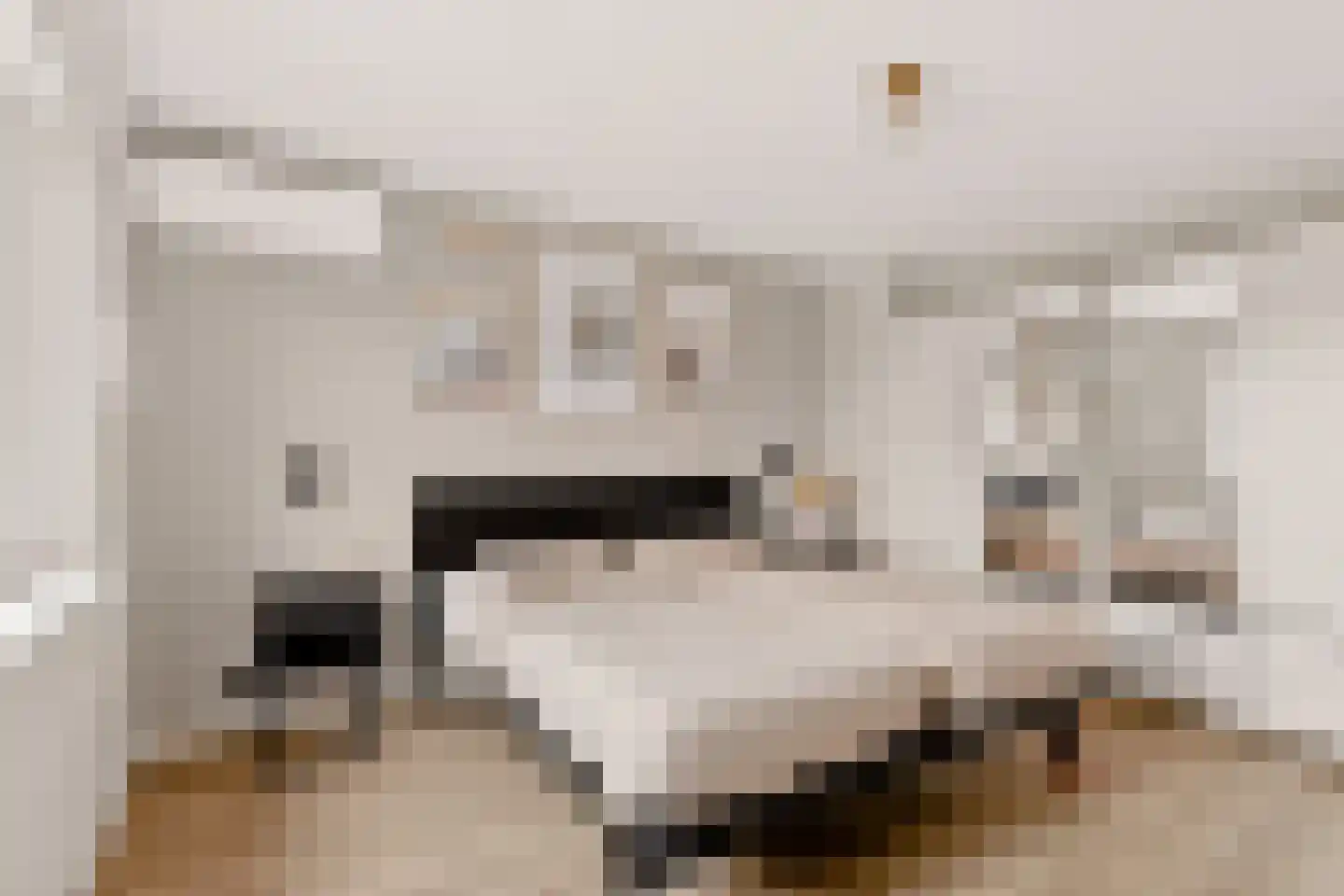 Gildestraat 43 Gendt thumbnail 27