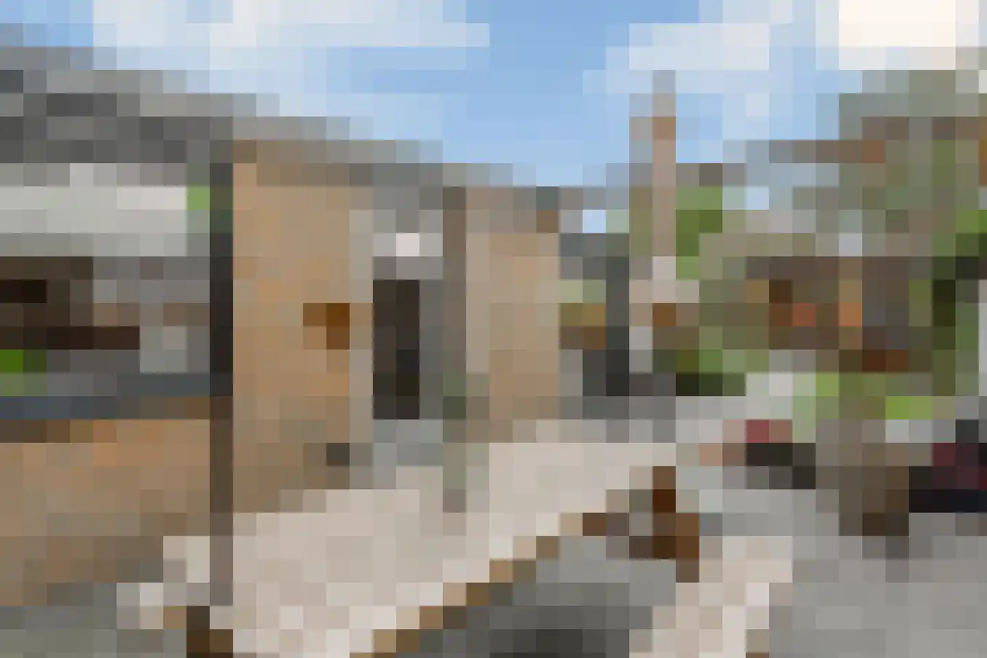 Gildestraat 43 Gendt thumbnail 39