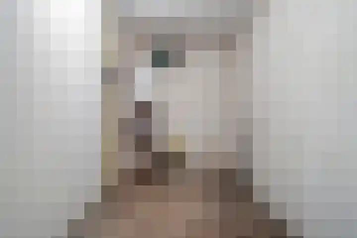 Gildestraat 9 Oploo thumbnail 18