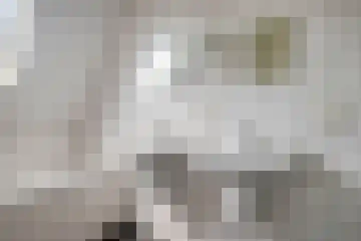 Gildestraat 9 Oploo thumbnail 23