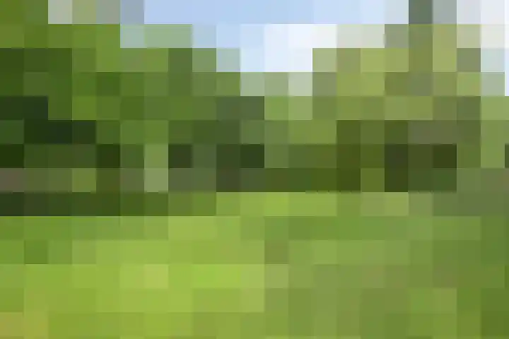 Gildestraat 9 Oploo thumbnail 32