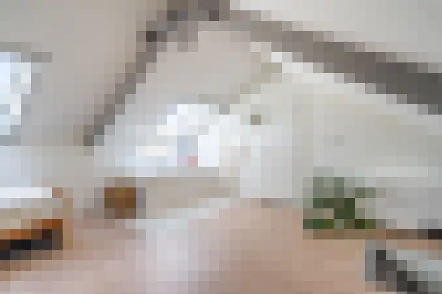 Gildestraat 9 Weert thumbnail 34