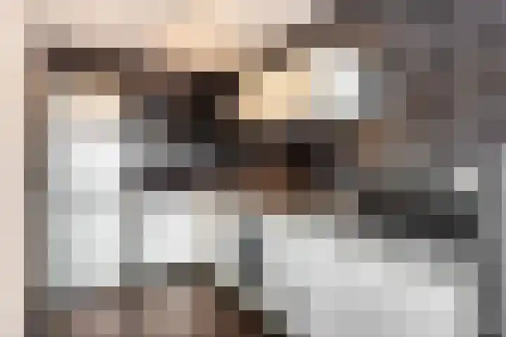 Gildestraat 94 Ede thumbnail 4