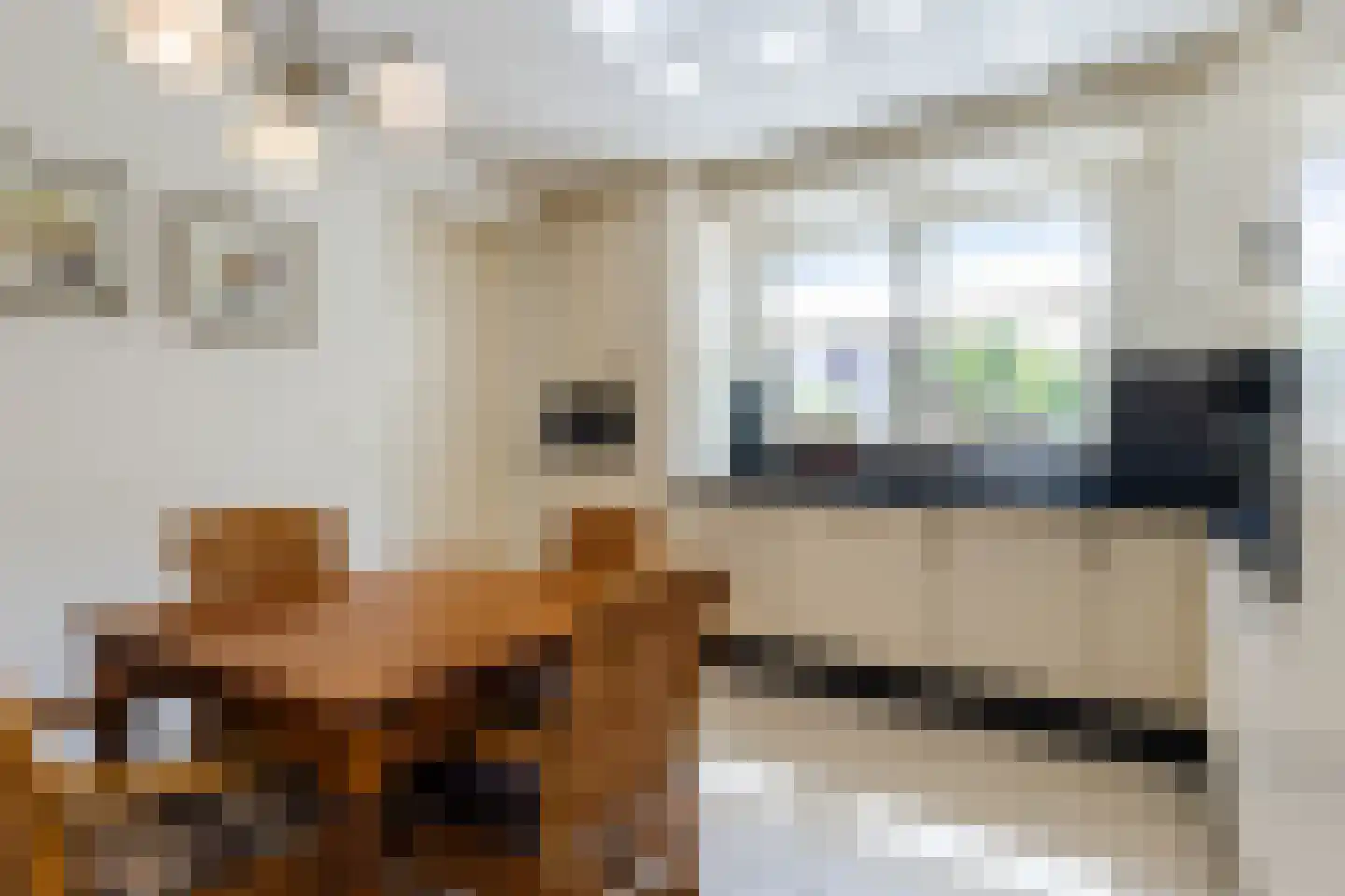 Gildeweg 30 Beers NB thumbnail 11
