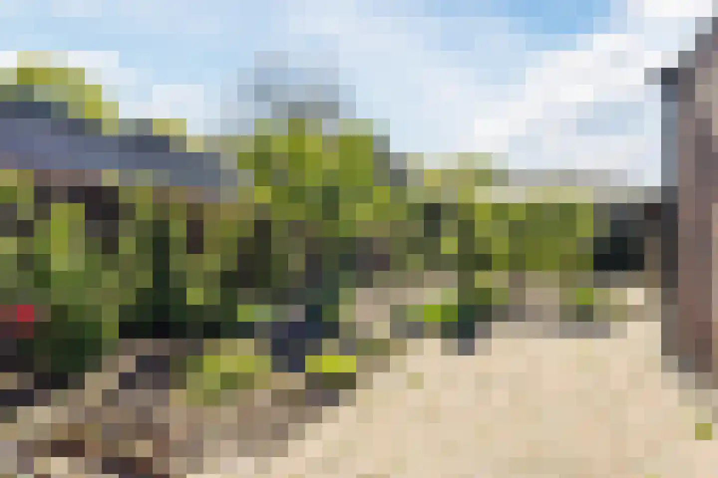 Gildeweg 30 Beers NB thumbnail 33