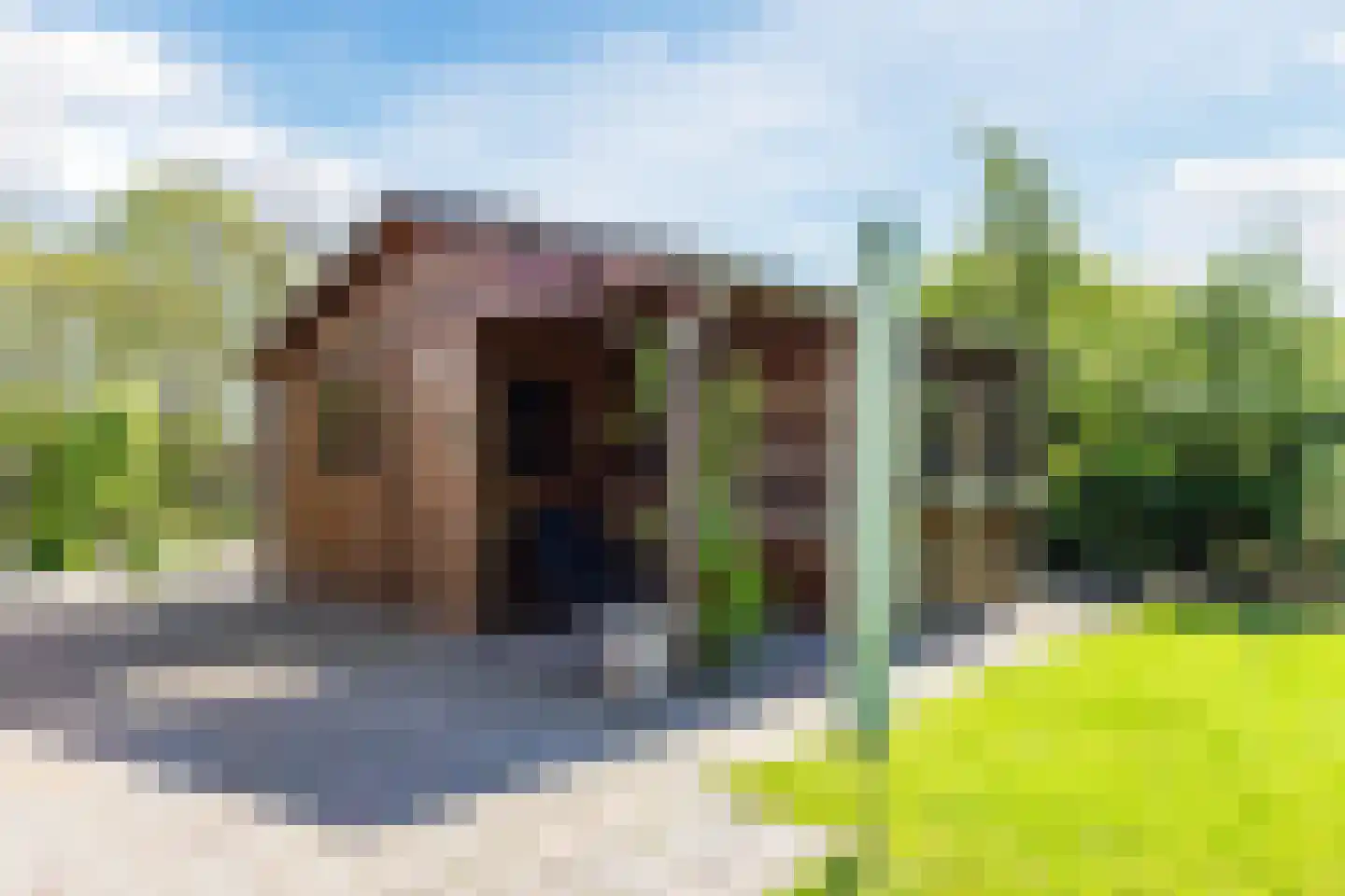 Gildeweg 30 Beers NB thumbnail 34
